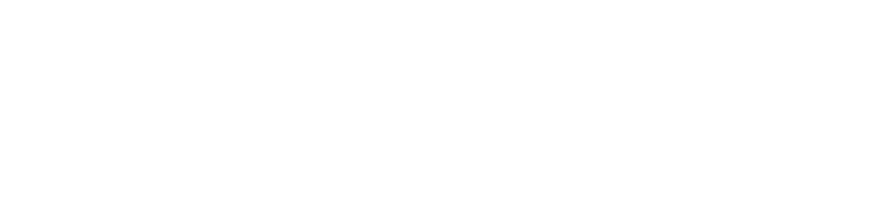 Flexfit Chile