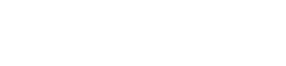 Flexfit Chile