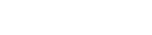 Flexfit Chile